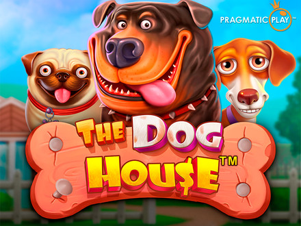The Dog House – Slot-Titel von Pragmatic Play aus dem Vavada-Katalog